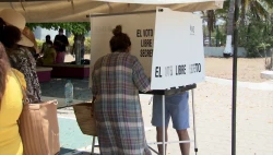 Sin denuncias de amenazas en órganos electorales de Mazatlán
