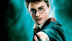 Harry Potter y su legado en el séptimo arte