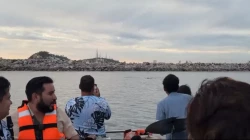 Delfines sorprenden a turistas en Mazatlán