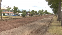 Mediante plan ambiental reubicarán 120 árboles de boulevard en reparación en Los Mochis