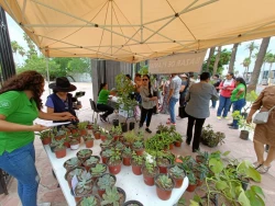 Parque Sinaloa celebrará el Día de la Madre Tierra