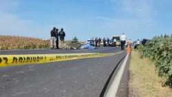 Muere un adulto mayor atropellando en  el municipio de Navolato