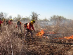 Controlan y liquidan incendio forestal en Quiriego