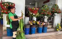 Por las nubes el precio de las flores en Sinaloa