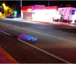 Mueren dos mujeres arrolladas por camioneta en autopista Mazatlán - Durango