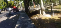 Exhorta PC reportar si existe algún peligro por panal de abejas 