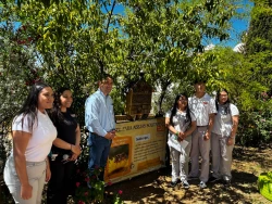 Instalan alumnos de Cobach Sonora “Hotel para abejas solitarias”