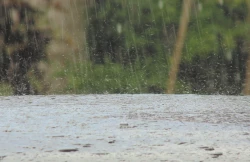 A mediados de julio se esperan las lluvias más fuertes en Sinaloa: PC