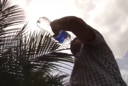 Llaman a la población a extremar medidas por ola de calor