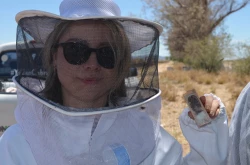 Centro de reproducción apícola busca tener abeja calidad Sonora