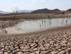 Municipios de Sinaloa con problemas de sequía graves