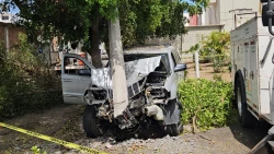 Por huir de la policía, conductor se impacta contra un poste de la luz y tira árboles en Culiacán
