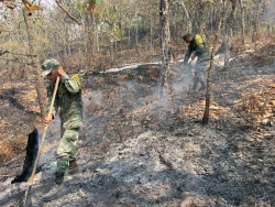 Sofoca el Ejército en Sinaloa 20 incendios