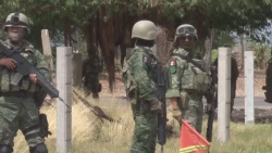 Ejército Mexicano asegura armas y granadas en Sinaloa