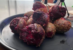 Décima fiesta de la Pitaya en Culiacán
