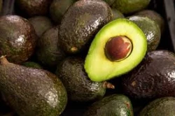 AMLO dará protección a inspectores de aguacate de E.U.