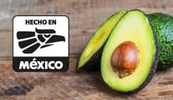 No son los moditos dice AMLO