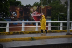 Cambios en cobertura de suelo dañado generan inundaciones