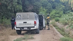 Hallan Cuatro Cuerpos mutilados en la comunidad de Los Arredondo, Navolato