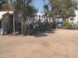 ¡Jardín Botánico de Culiacán te regala un árbol!