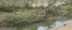 Avanza la limpieza de arroyos en Culiacán