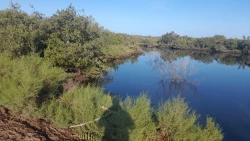 Hallan cuerpo de hombre bajo un puente en Badiraguato; se investigan las causa de su muerte
