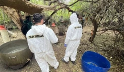 Destruyen 219 laboratorios clandestinos de drogas en 3 estados