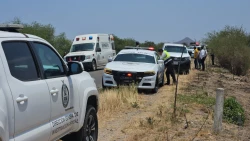 Colectivo de búsqueda localizan restos óseos humanos cerca de la zona conocida como El Trébol