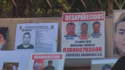 Se necesitan políticas públicas para combatir las desapariciones