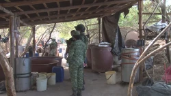 SEDENA asegura 13 narcolaboratorios en un mes en Sinaloa