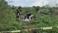 Encuentran a cadáver de hombre en avanzado estado de descomposición en Culiacán