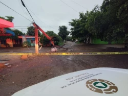 Postes y arboles caídos por lluvias en Culiacán