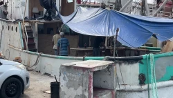 A semanas de levantamiento de veda flota camaronera sigue paralizada