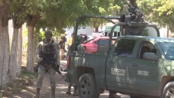 Exige el PRI en Sinaloa un plan integral de seguridad