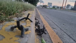 Usuarios de vehículos advierten de la presencia de ponchallantas por zona de Tres Ríos en Culiacán