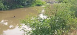 Un hombre fue localizado sin vida dentro de un canal