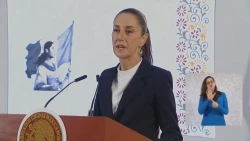 No habrá impunidad contra delincuentes dice Sheinbaum