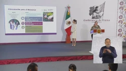 Se dará proyección al café, cacao y miel en México