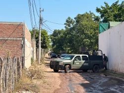 Fuerzas Armadas realizan las periciales en finca donde fue capturado 'El Max'