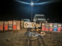 Aseguran armamento, vehículos y máquinas tragamonedas en operativo en Altar, Sonora