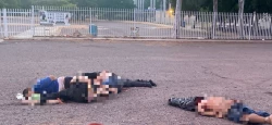 Hallan cinco cuerpos sobre la carretera Culiacán-Eldorado