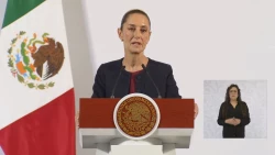COFECE se ha dedicado a frenar a las empresas públicas
