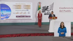 Mexicana de Aviación cumple 1 año