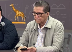 ¿Dónde quedó la jirafa?