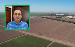 ¡Atención! Esperan rendimiento de únicamente 1.8 millones de toneladas de maíz en Sinaloa para el ciclo agrícola 2024-2025