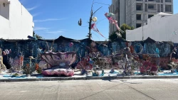 La Magia del Reciclaje: Carnaval Mazatlán 2025 "La Perla" en la Colonia Palos Prietos