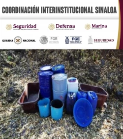 Grupo Interinstitucional asegura 13 laboratorios en Culiacán y Cosalá