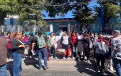 Por picaduras de abejas, hay 21 estudiantes lesionadas