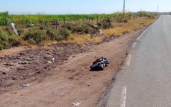Ejecutan a hombre con ráfagas de arma larga en Costa Rica; estaba atado de manos y pies