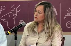 Decomisos y detenciones en Culiacán y Mazatlán 